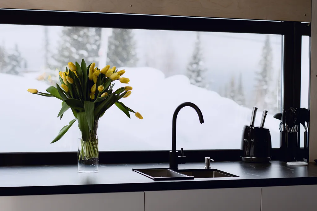 Шале Гагарин