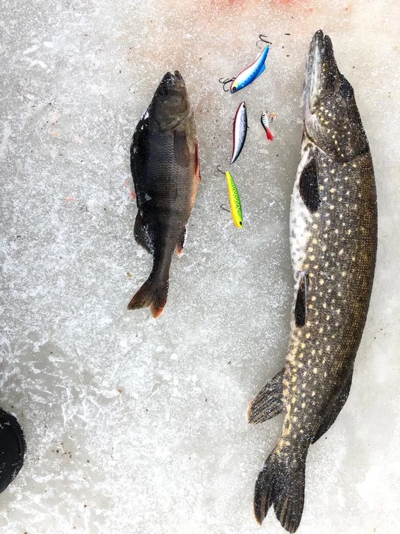 Карельский домик в заливе Ладожского озера