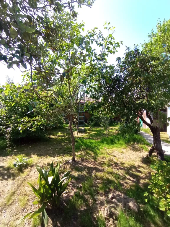 Коттедж в саду у Веры