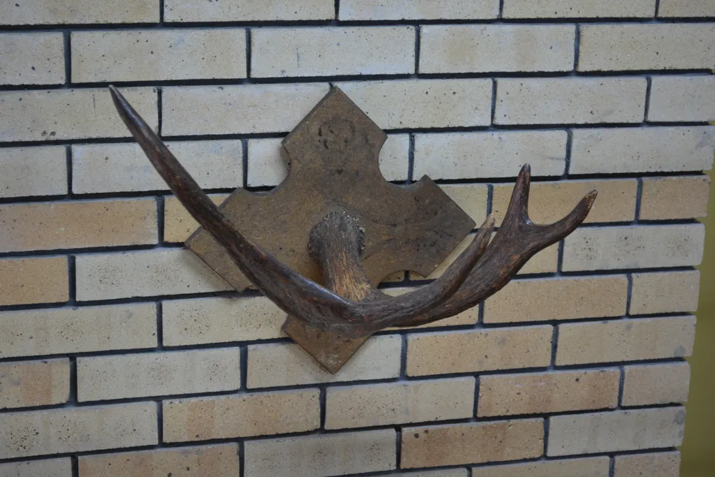 Квартира Апартаменты с панорамным окном, камином, ванной — Луховицы