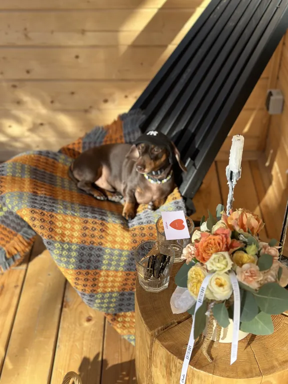 Коттедж Уютный дом в окружении леса — Полевской