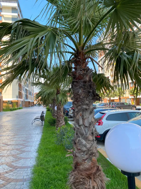 Элитная 2-комнатная квартира на берегу моря 63 м², 13/13