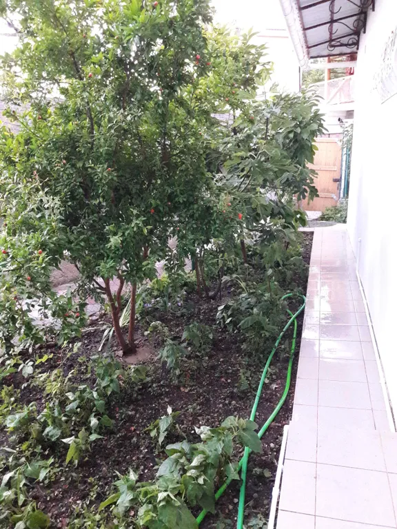 Уютная квартира-студия у моря