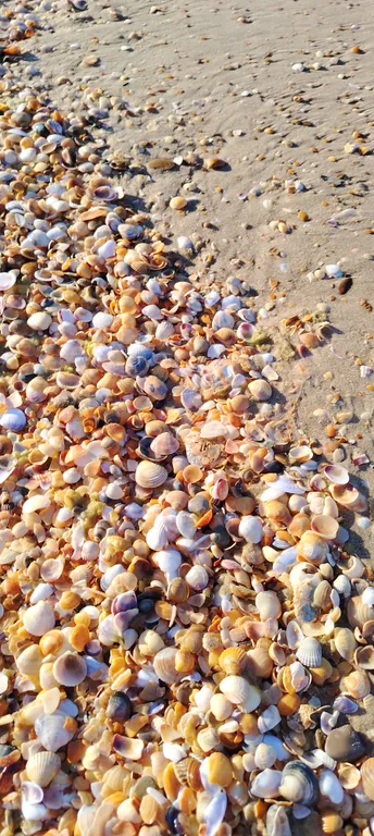 Квартира Квартира Уютные комнаты с удобствами в центре посёлка. — Витязево