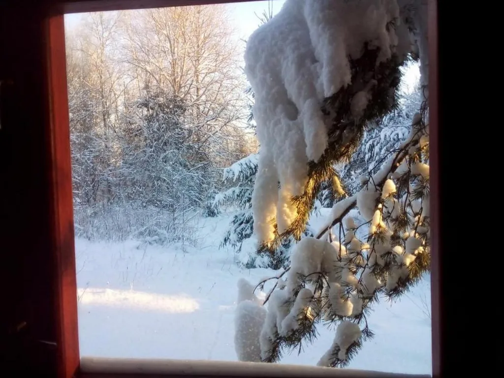 Заимка Остров: уютный домик для отдыха и рыбалки