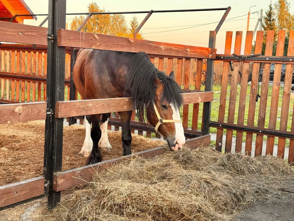 Гостевой дом с конюшней