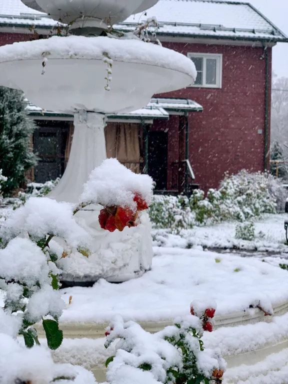 Дом у пруда