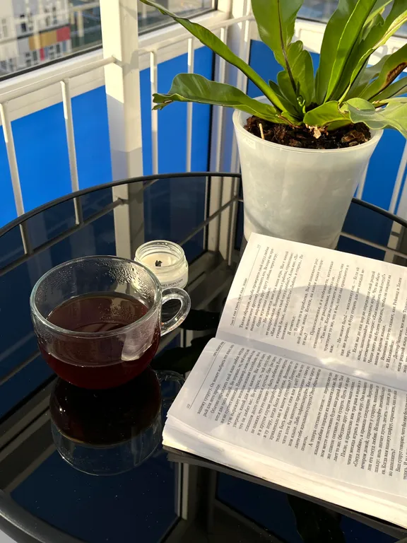 Студия в Белых росах