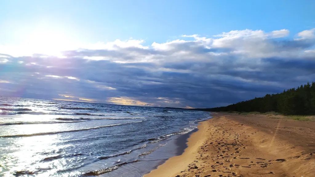 Коттедж Дом на берегу Ладожского озера — Видлица