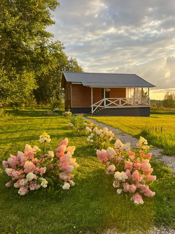 Дом на Волхове