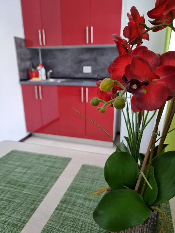 Уютная квартира-студия в центре, возле ЖД Вокзала