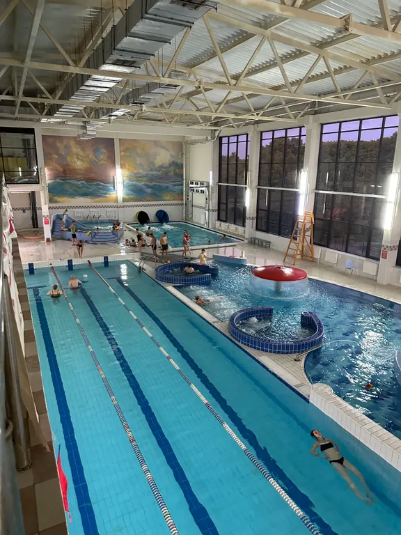 Квартира с пандой