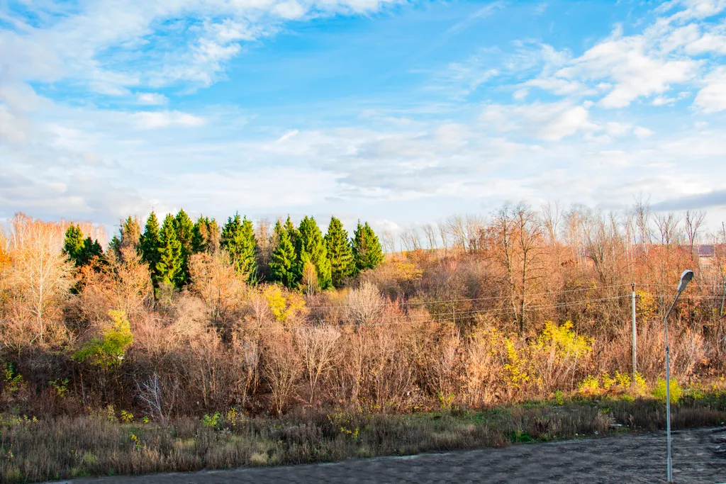 По-домашнему уютная квартира Измайловский сад