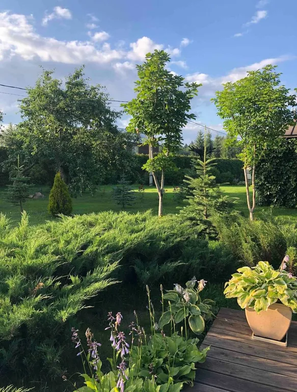 Уютный загородный дом с баней и бассейном