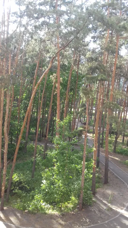 Квартира рядом с ФОК Надежда круглосуточно