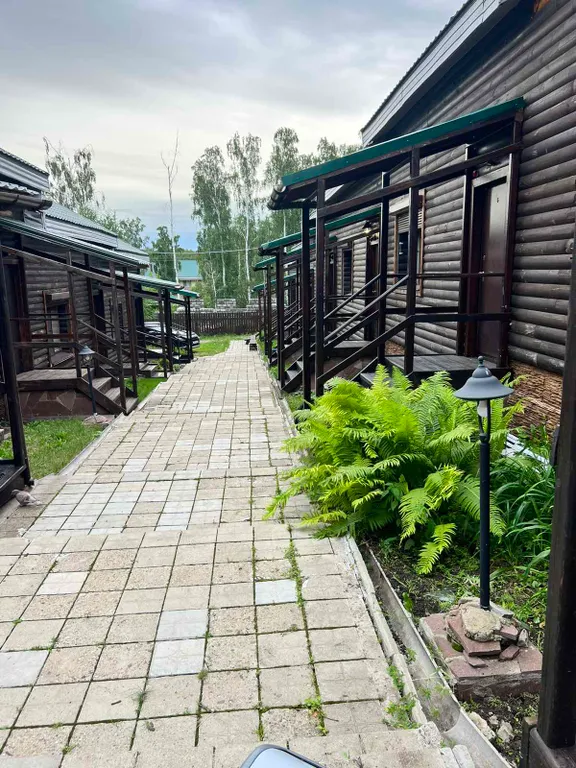 Бунгало на краю леса