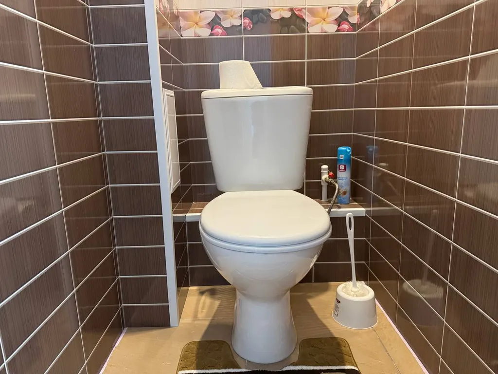 Апартаменты для ценителей уюта, комфорт и чистота