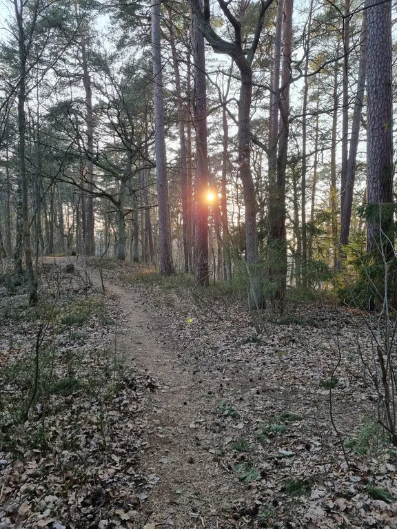 Уютный уголок около лесного озера