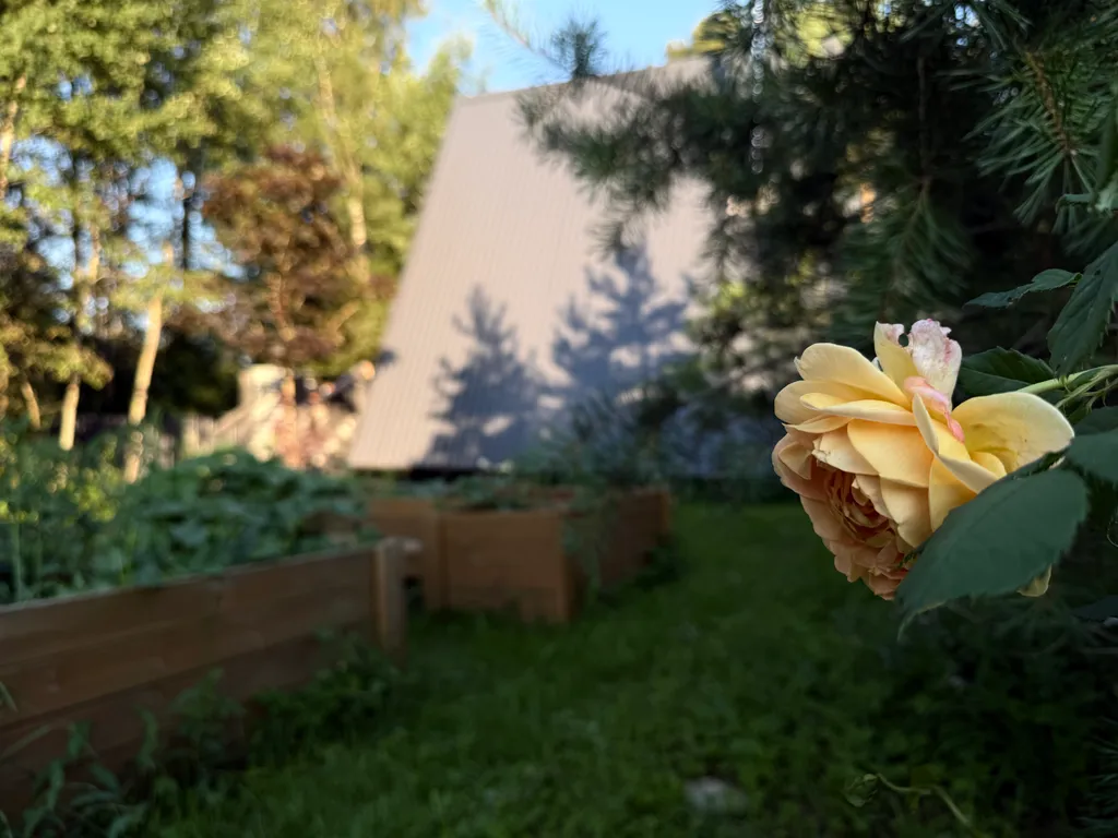 Дом с баней на Истринском водохранилище