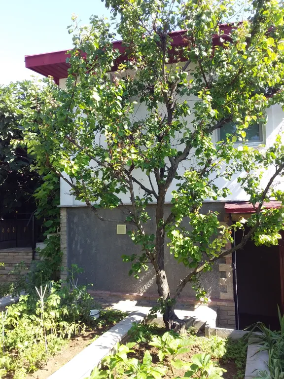 Дача в районе Царское село