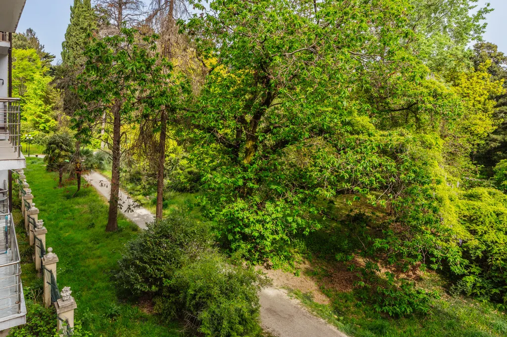 Квартира с видом на парк