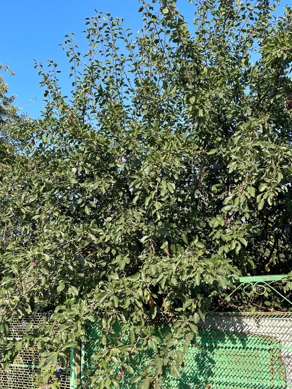 2-ком кв. В частном доме, идеальное место для отдыха