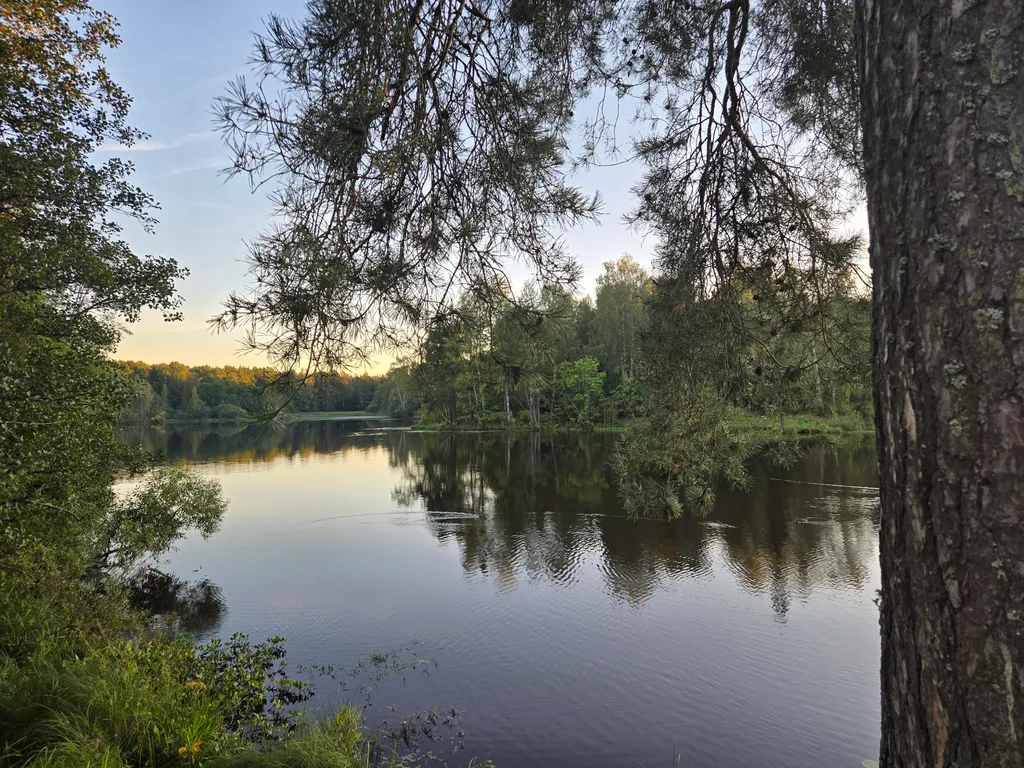 Квартира Новая квартира-студия с панорамным видом на лес — Ломоносов
