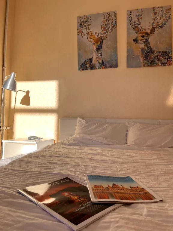 Атмосферный апартамент в центре города