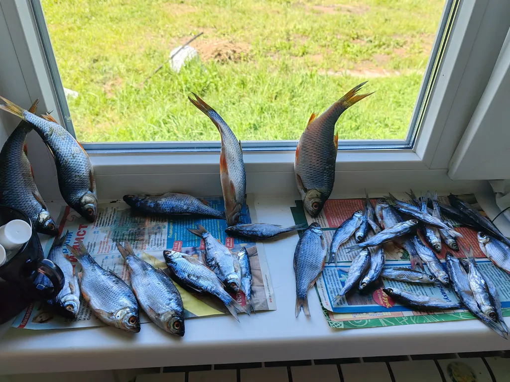 Дом у слияния рек, рядом с историей