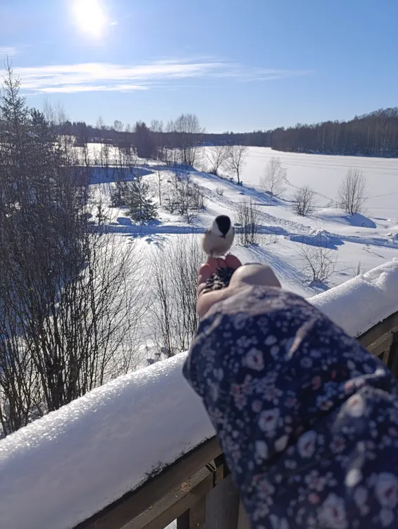 Шале с сауной на берегу реки