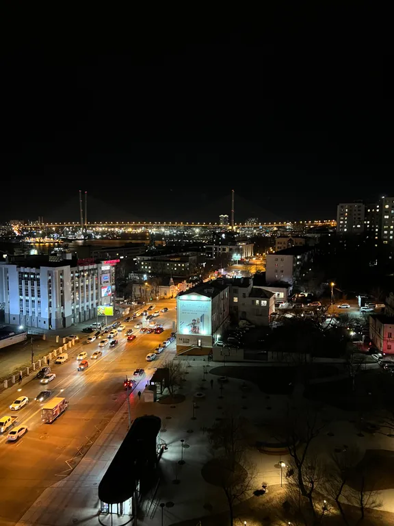 Квартира с восхитительным видом на бухту и Золотой мост