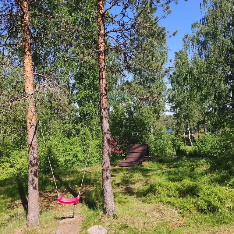 Дом на берегу озера с панорамным видом на лес