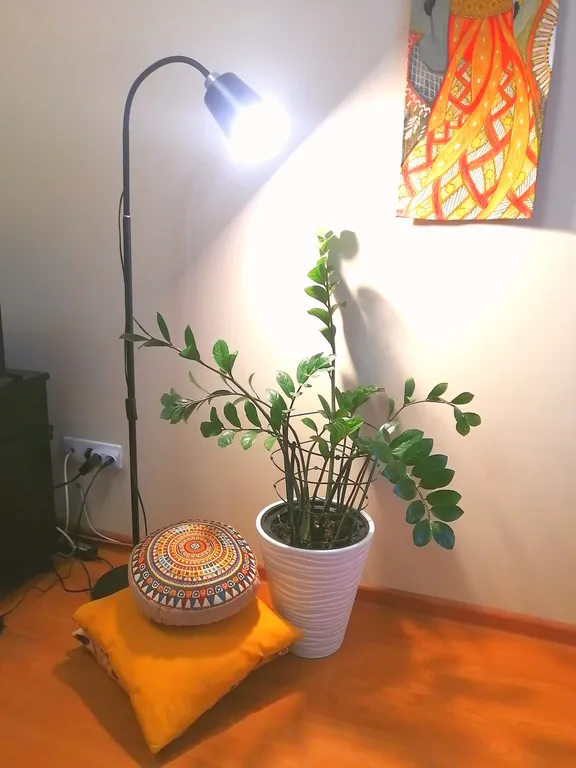 Теплая африканская сказка для вашего отдыха. Солнечная квартира.