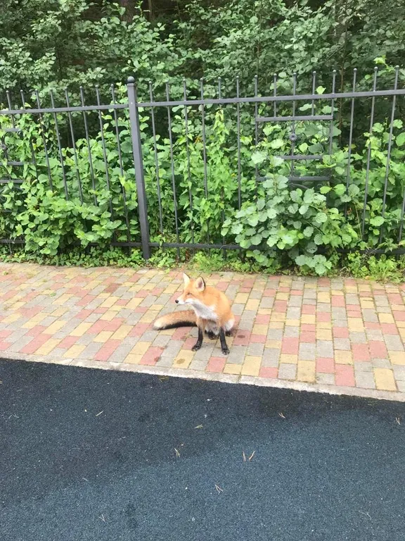 Lake-City apartments