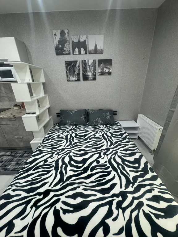 Студия Минск Мир в 5 минутах от метро Аэродромная и ТЦ Авиамолл