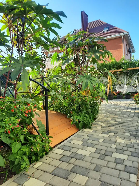 Студия с собственной террасой и кухней