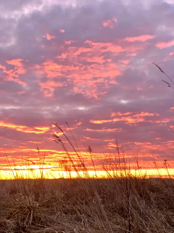 Дача для отдыха