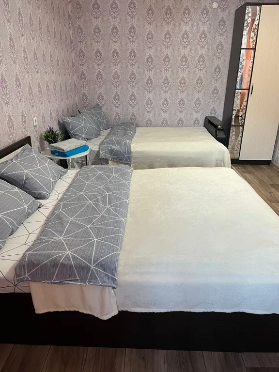 Квартира 1-комнатная большая квартира — Аша