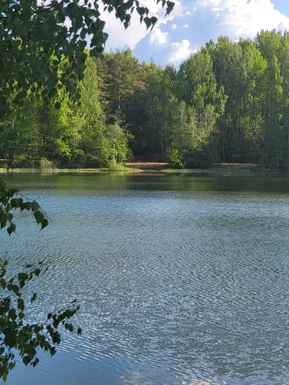 Лосиный ключ - коттедж с баней у озера