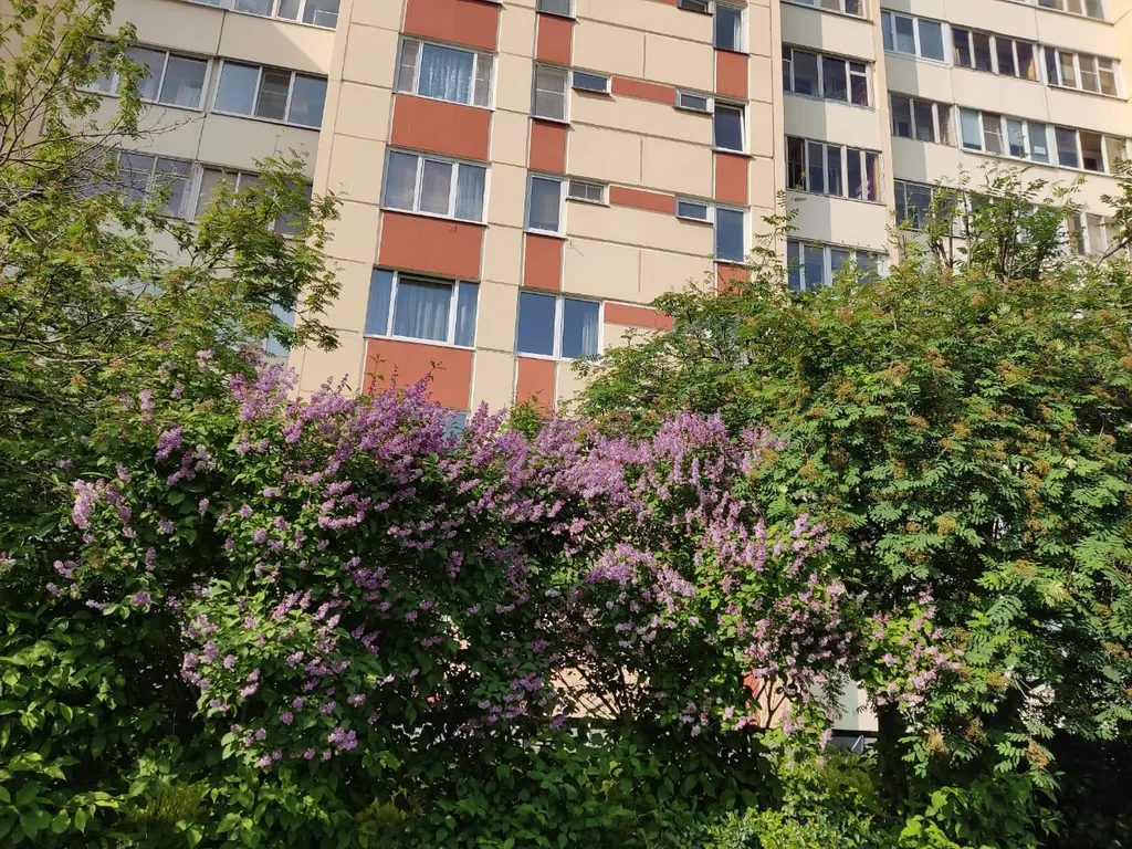 Квартира у аквапарка