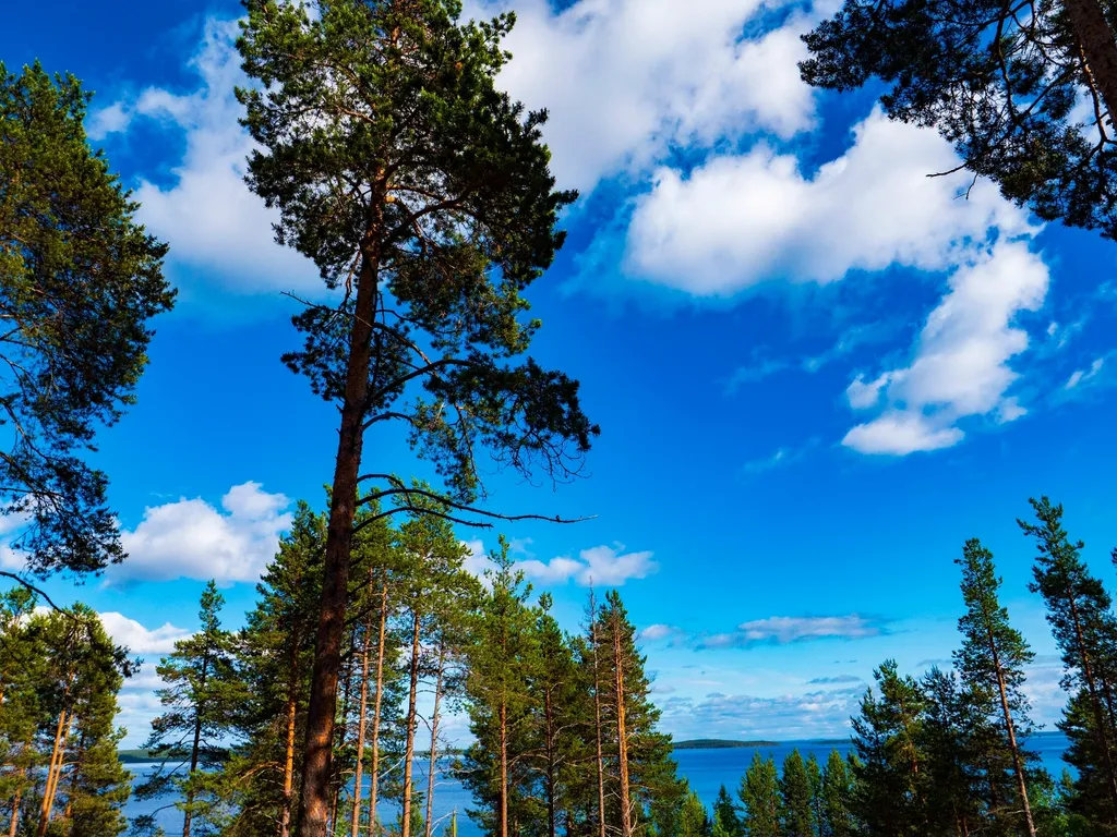 Коттедж 3-комнатный Дом — Калевала