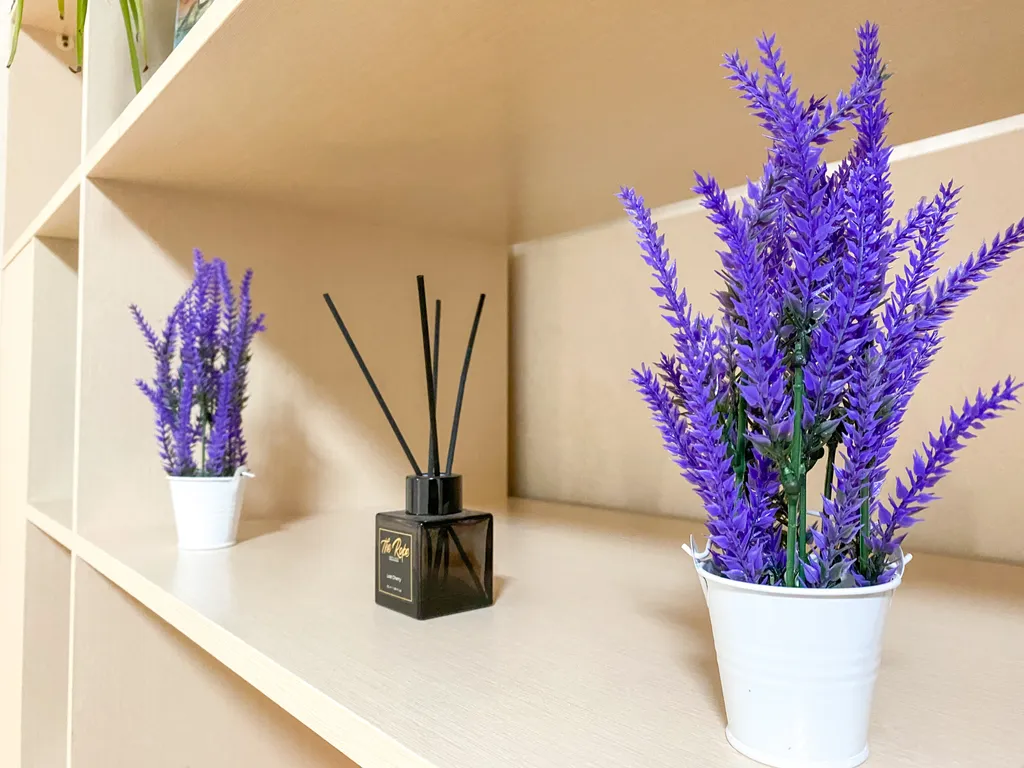 Квартира Квартира Счастье жить в центре Севастополя в самой лавандовой квартире — Севастополь