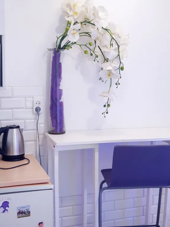 Квартира 1-комнатная Квартира — Санкт-Петербург