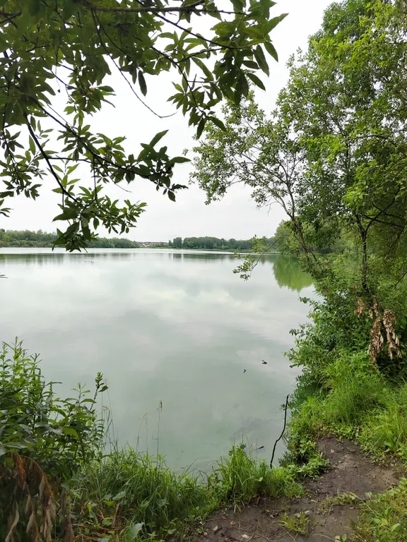 Коттедж Дом с баней, барбекю зоной и большой беседкой — Новый Городок