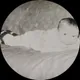 Николай
