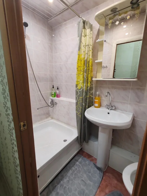 Уютная однокомнатная квартира