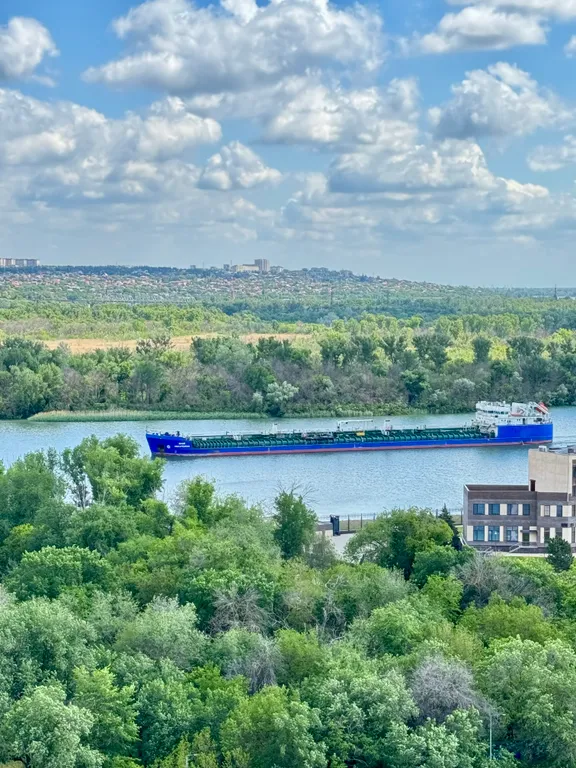 Квартира 1-к квартира с великолепным видом на Дон — Ростов-на-Дону
