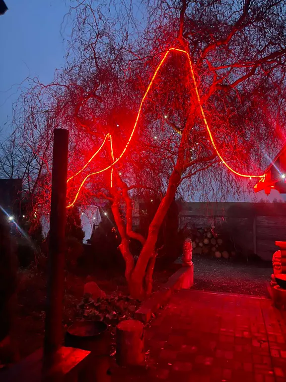 Агроусадьба Банный дворик