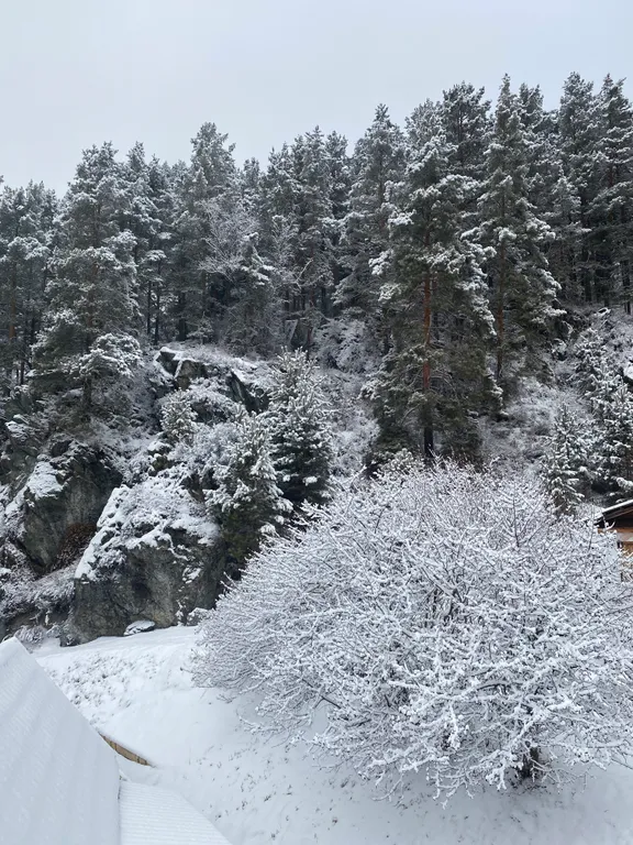 Коттедж для больших компаний на Алтае