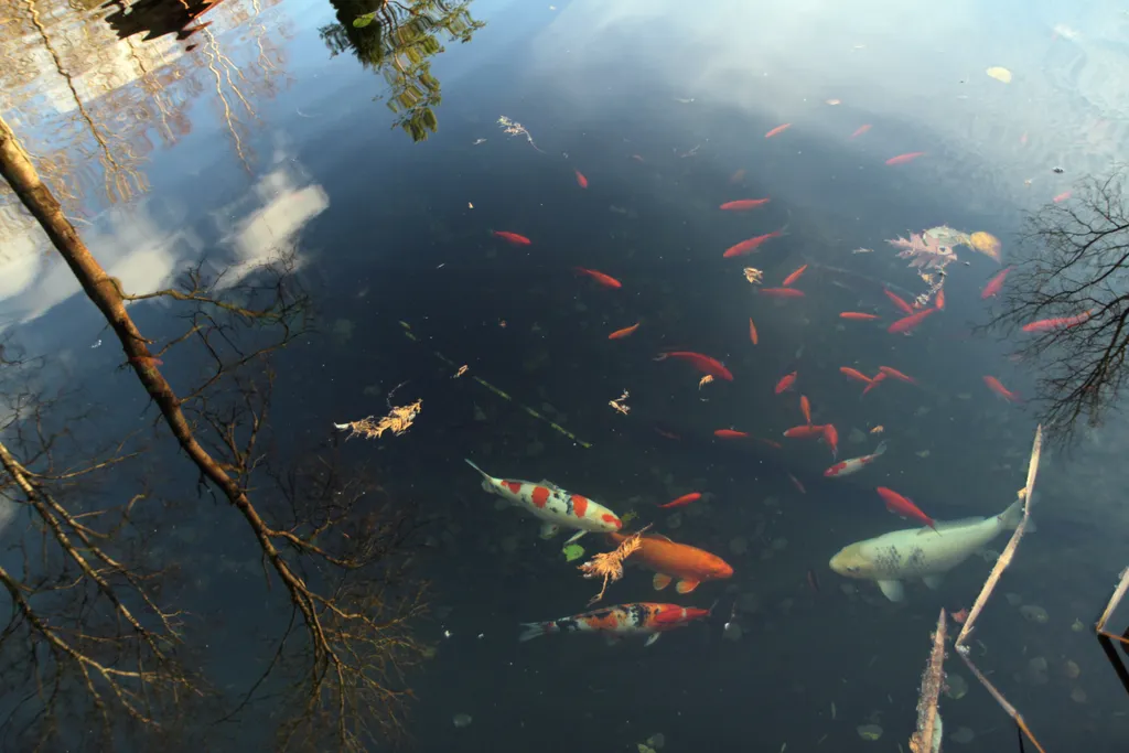 Коттедж Рядом с пляжем Финского залива Park Dream Country Cottage — Солнечное